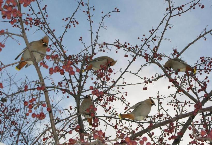 مبيت وإفطار Copper Whale Inn
