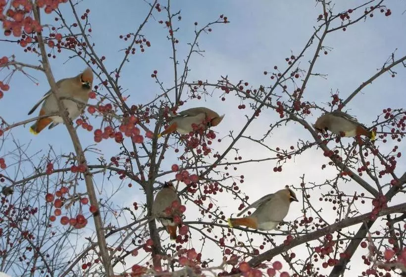 ベッドアンドブレックファースト Copper Whale Inn