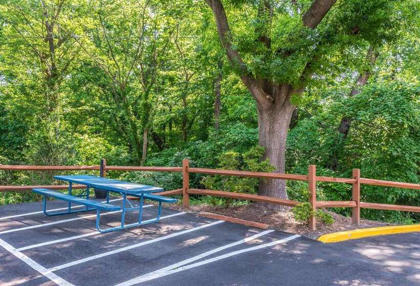 Отель Comfort Inn Charlotte Airport Uptown