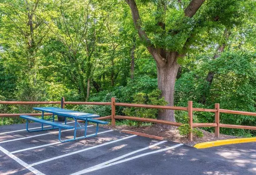 酒店 Comfort Inn Charlotte Airport Uptown