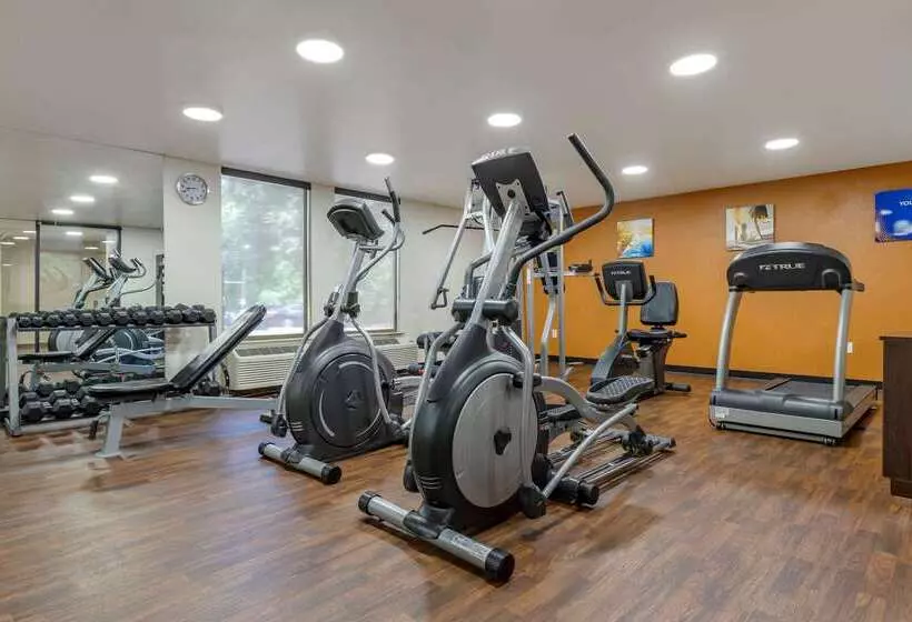 酒店 Comfort Inn Charlotte Airport Uptown