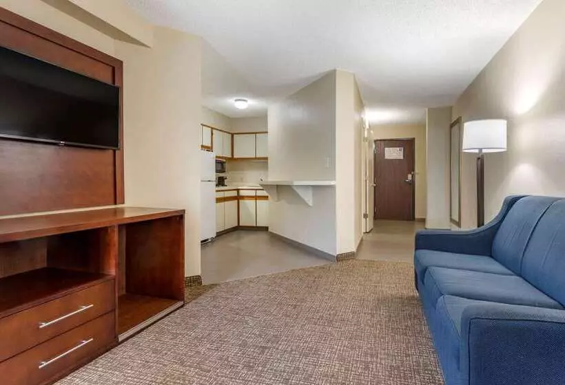 酒店 Comfort Inn Charlotte Airport Uptown