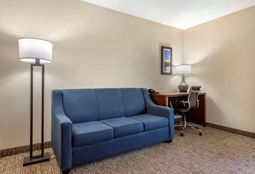 酒店 Comfort Inn Charlotte Airport Uptown