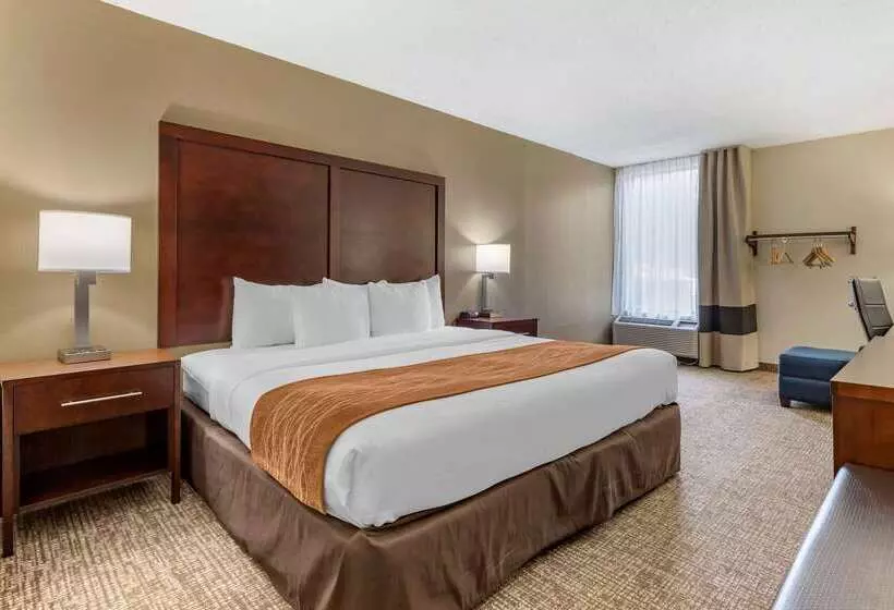 酒店 Comfort Inn Charlotte Airport Uptown