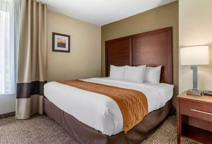 酒店 Comfort Inn Charlotte Airport Uptown