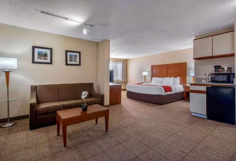 Отель Comfort Inn Denver Southeast Area