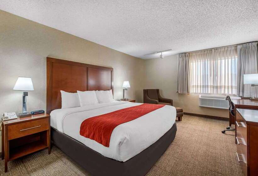 فندق Comfort Inn Denver Southeast Area