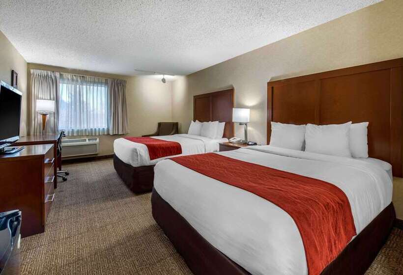 فندق Comfort Inn Denver Southeast Area