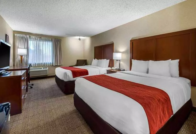 Отель Comfort Inn Denver Southeast Area