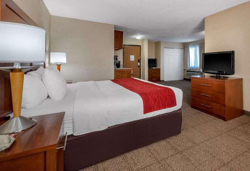 فندق Comfort Inn Denver Southeast Area