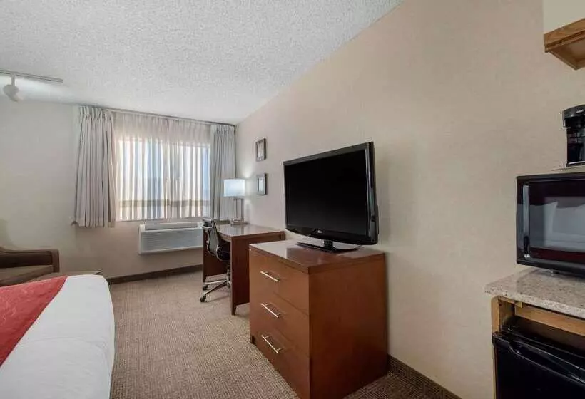 Отель Comfort Inn Denver Southeast Area