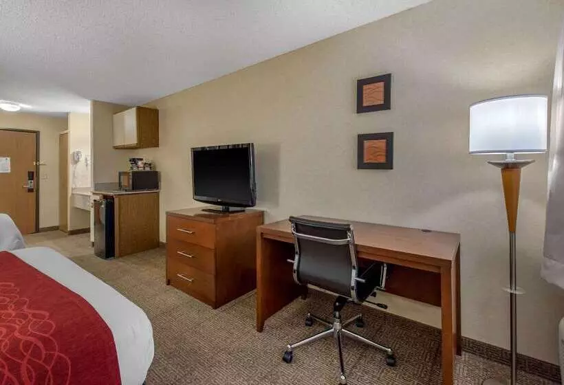 Отель Comfort Inn Denver Southeast Area