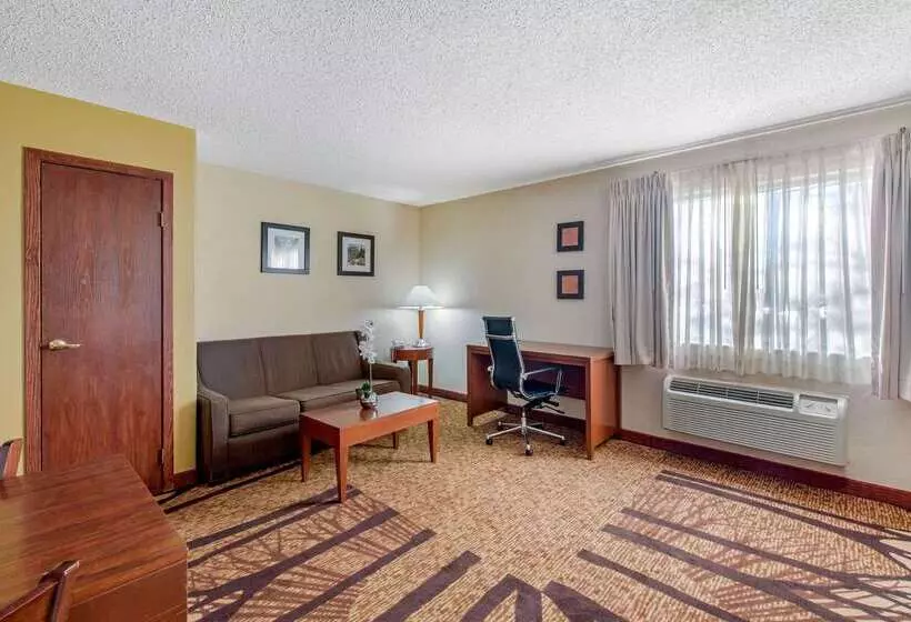 Отель Comfort Inn Denver Southeast Area