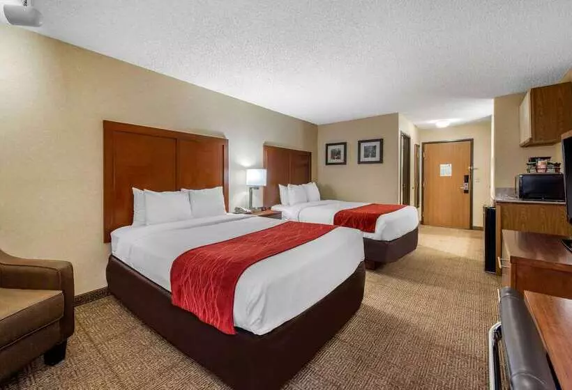 Отель Comfort Inn Denver Southeast Area