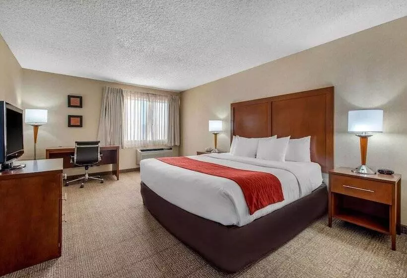 Отель Comfort Inn Denver Southeast Area
