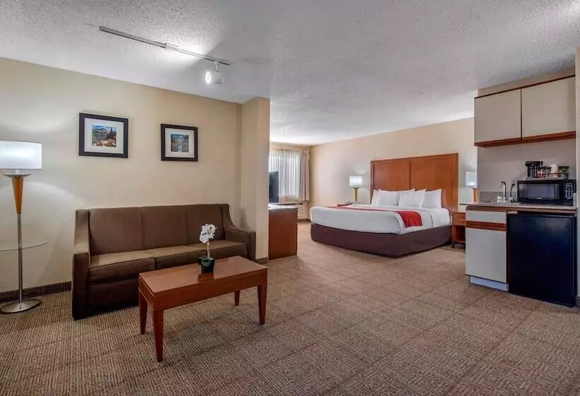 Отель Comfort Inn Denver Southeast Area