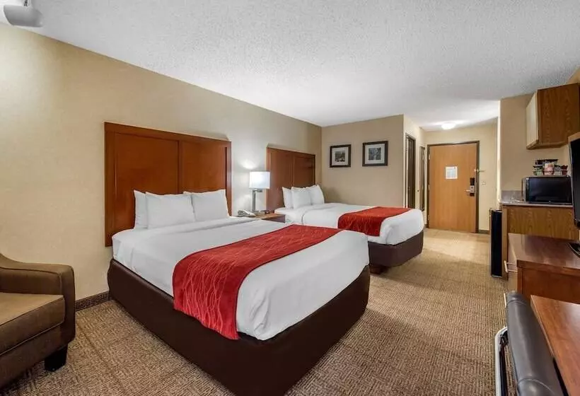 Отель Comfort Inn Denver Southeast Area