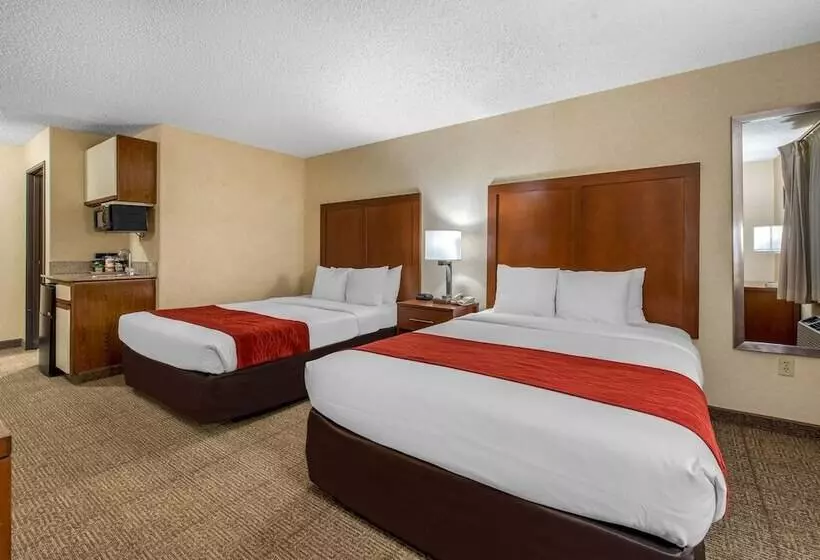 Отель Comfort Inn Denver Southeast Area