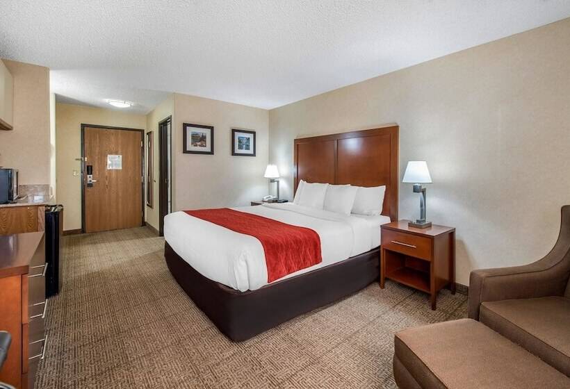 فندق Comfort Inn Denver Southeast Area