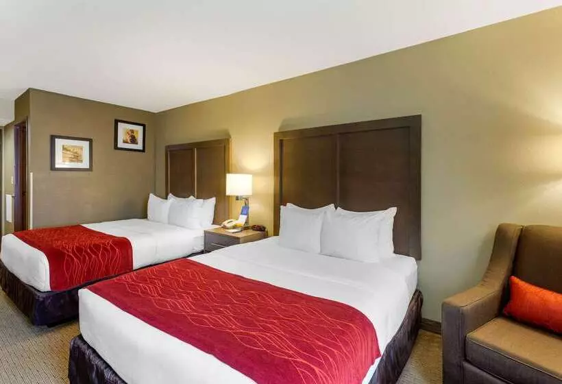 فندق Comfort Inn Marshall Station