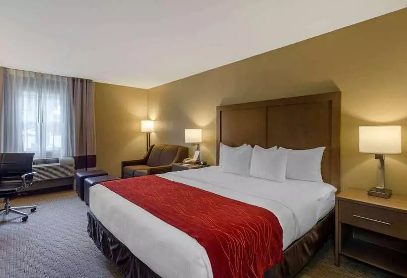 فندق Comfort Inn Marshall Station