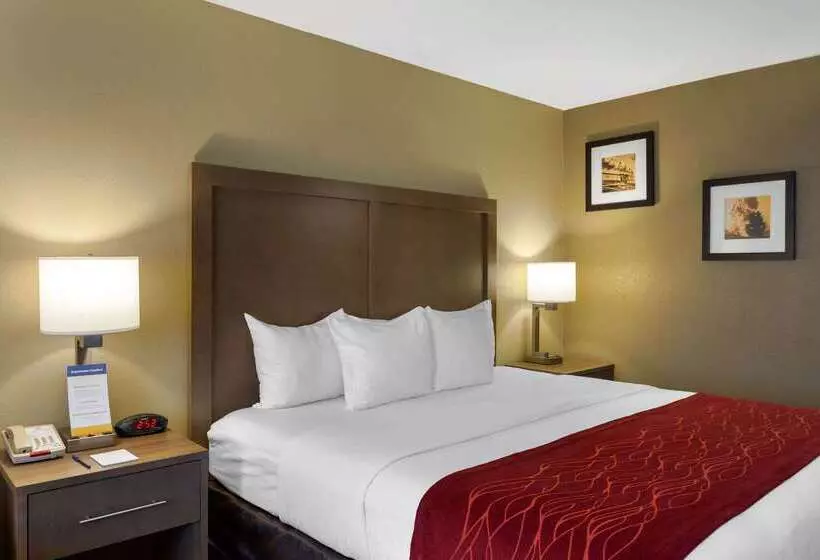 فندق Comfort Inn Marshall Station