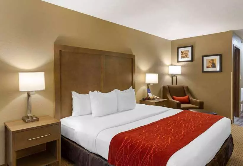فندق Comfort Inn Marshall Station