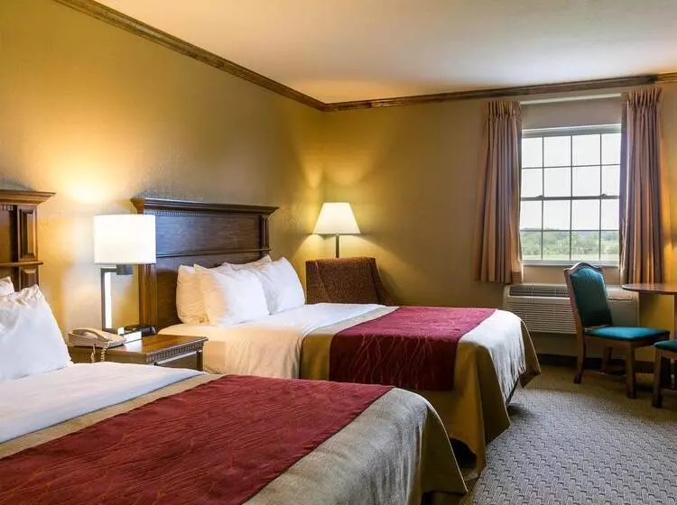 فندق Comfort Inn Marshall Station