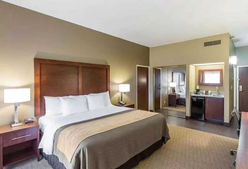 هتل Comfort Inn Naples East I75