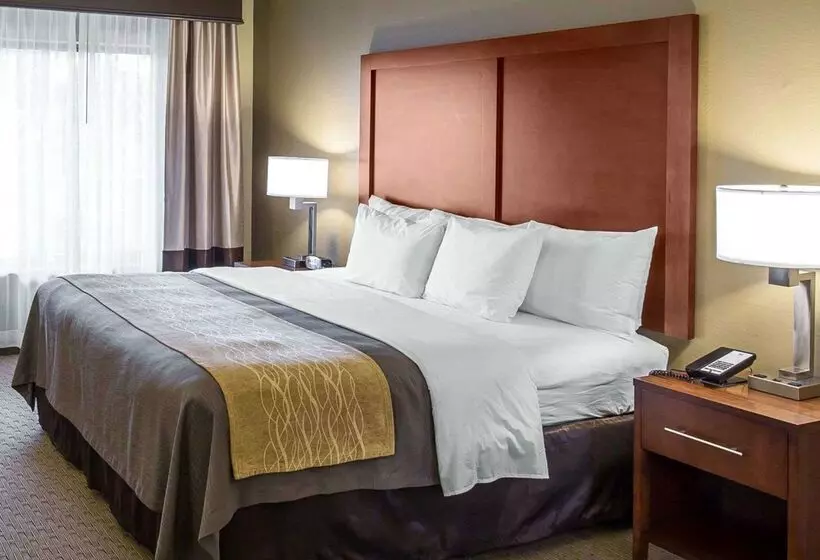 هتل Comfort Inn Naples East I75