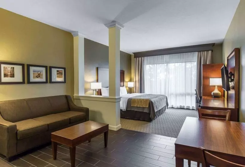 هتل Comfort Inn Naples East I75