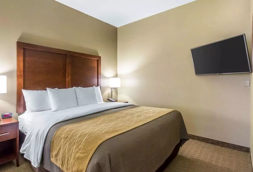 هتل Comfort Inn Naples East I75