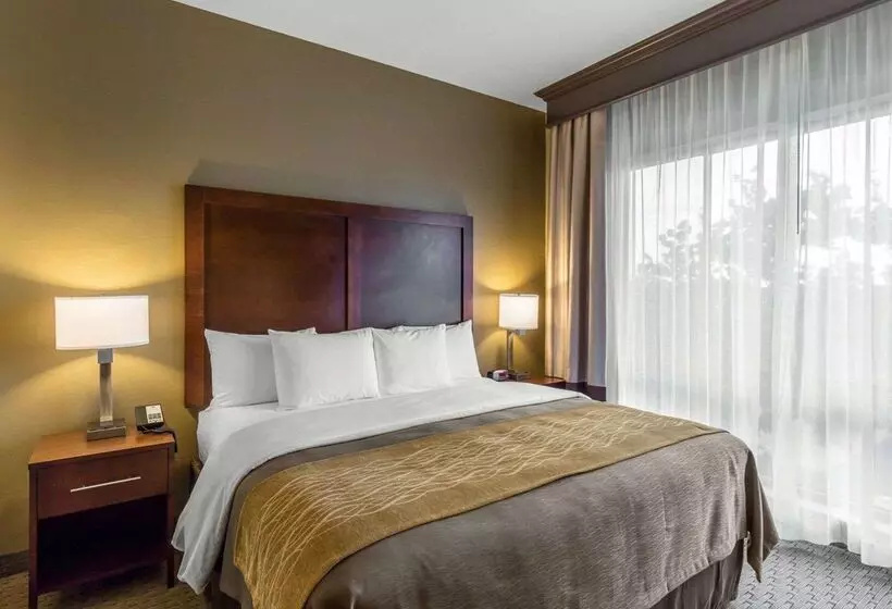 هتل Comfort Inn Naples East I75