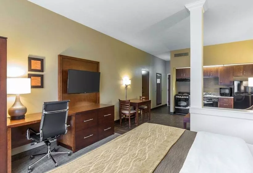 هتل Comfort Inn Naples East I75