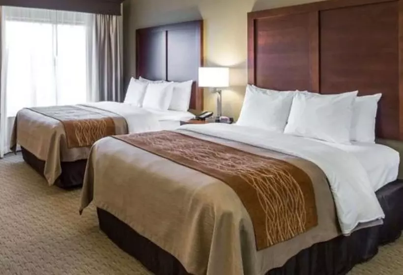 هتل Comfort Inn Naples East I75