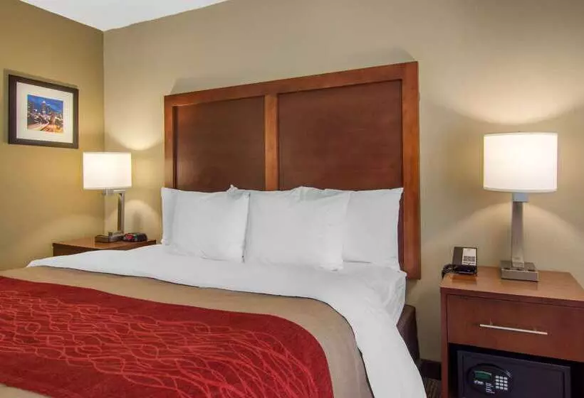 ホテル Comfort Inn Sandy Springs Perimeter