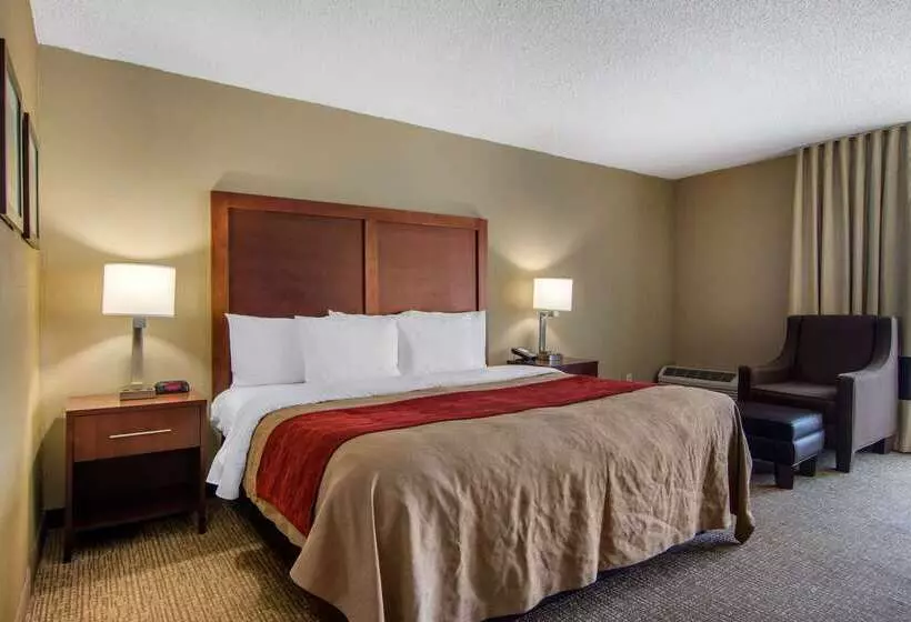 ホテル Comfort Inn Sandy Springs Perimeter