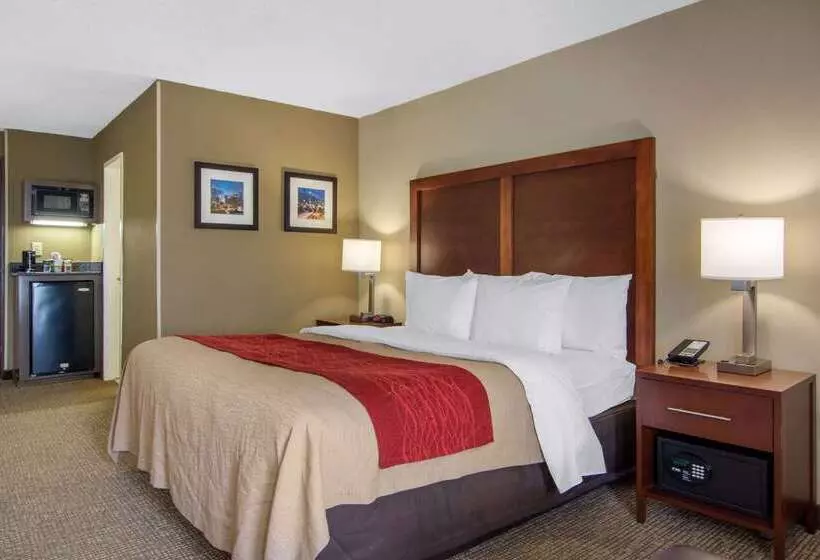 ホテル Comfort Inn Sandy Springs Perimeter