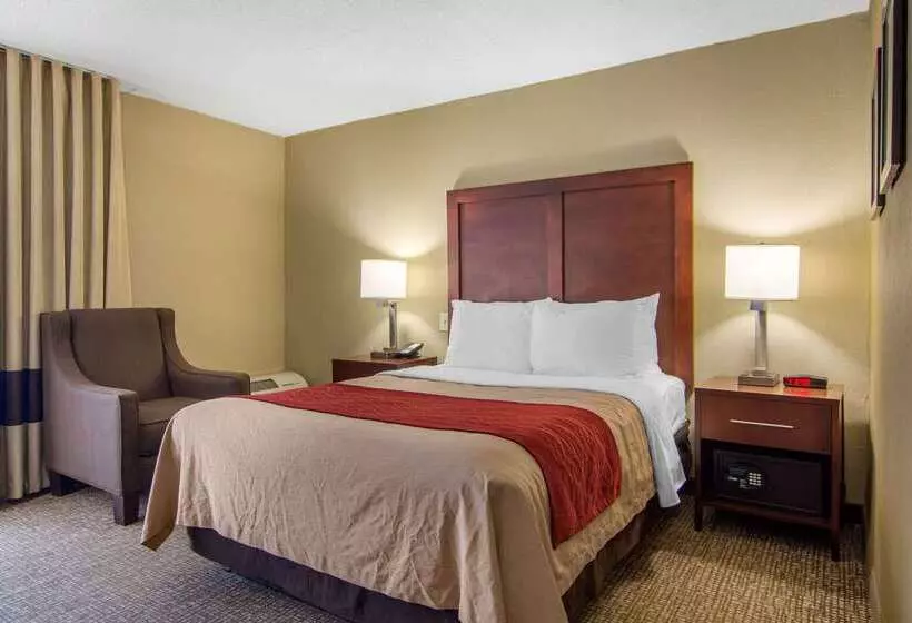 ホテル Comfort Inn Sandy Springs Perimeter