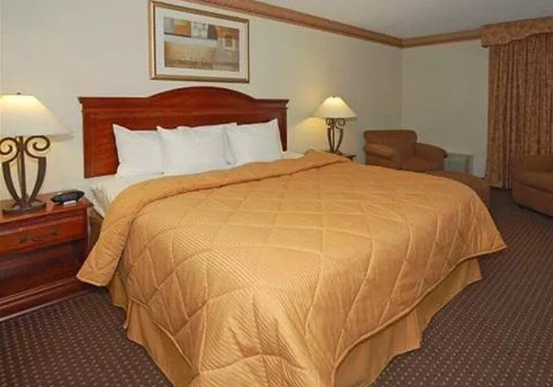 ホテル Comfort Inn Sandy Springs Perimeter