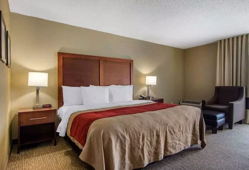 ホテル Comfort Inn Sandy Springs Perimeter