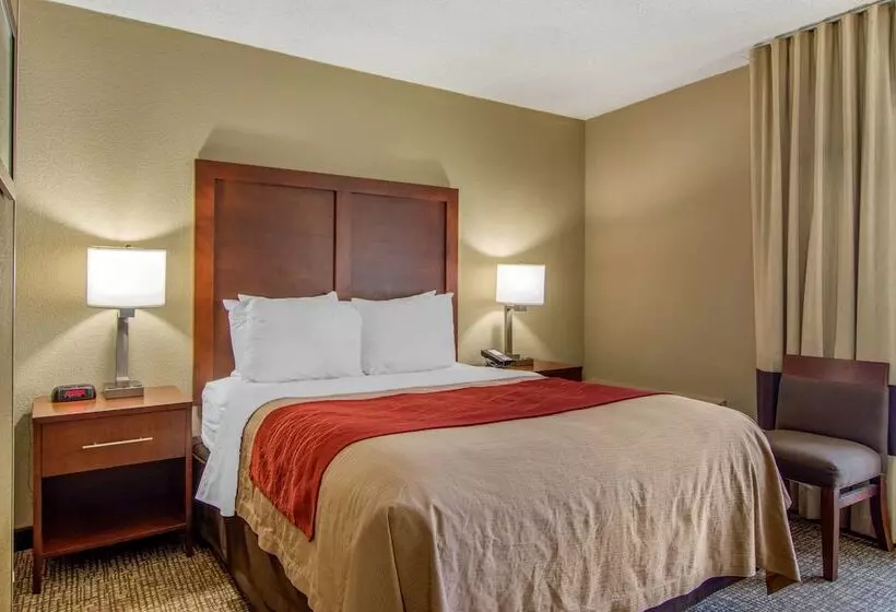 ホテル Comfort Inn Sandy Springs Perimeter