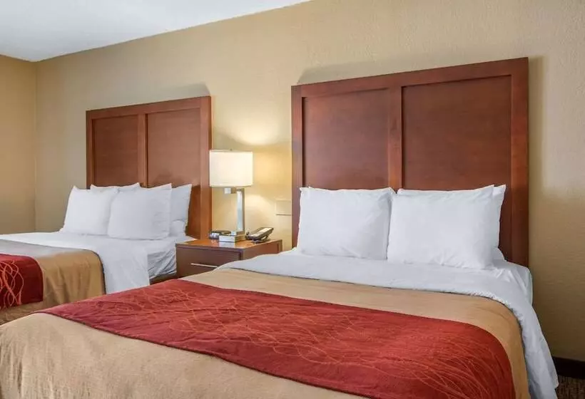 ホテル Comfort Inn Sandy Springs Perimeter