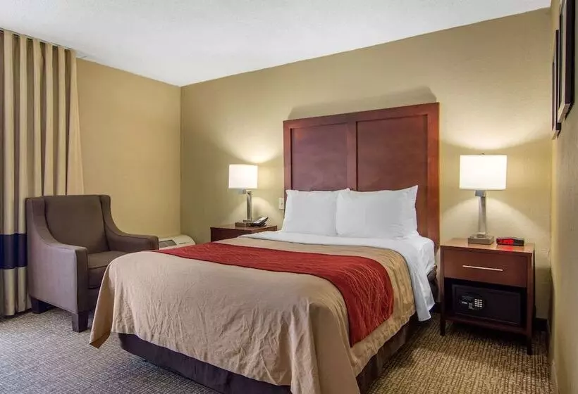 ホテル Comfort Inn Sandy Springs Perimeter