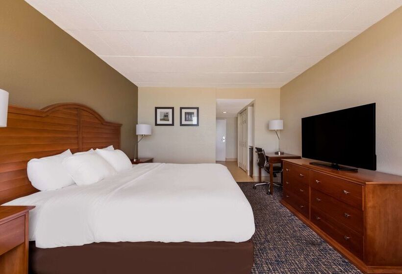 ホテル Comfort Inn South Oceanfront