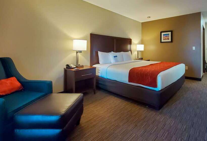 בית מלון כפרי Comfort Inn & Suites Tempe Phoenix Sky Harbor Airport