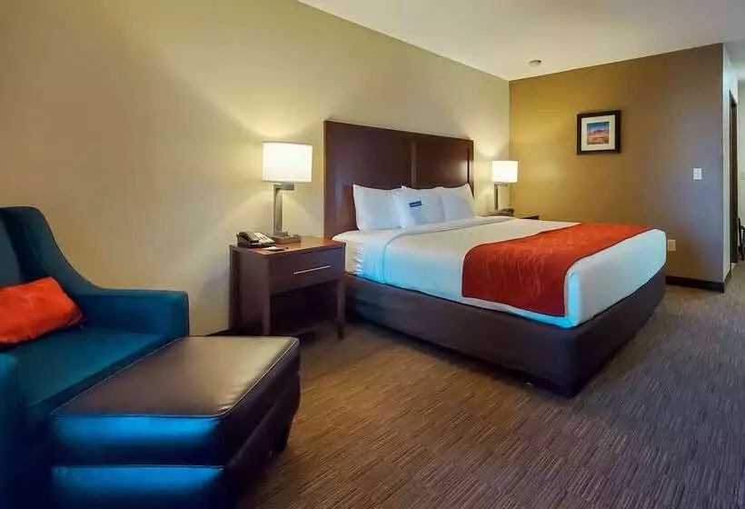 هتل Comfort Inn & Suites Tempe Phoenix Sky Harbor Airport