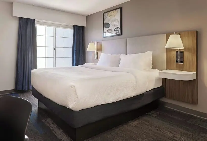 ホテル Comfort Inn & Suites Tempe Phoenix Sky Harbor Airport