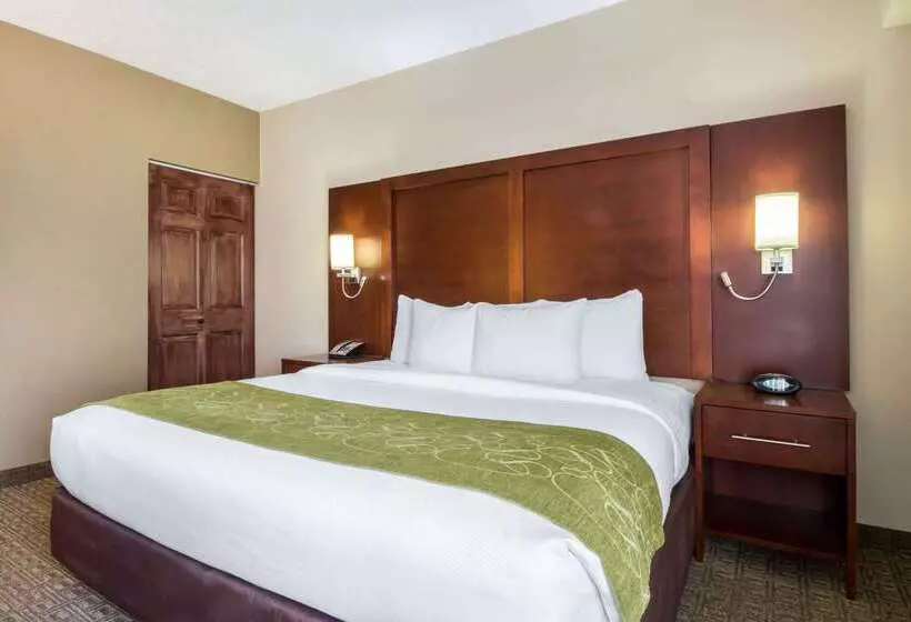 ホテル Comfort Suites At Woodbridge