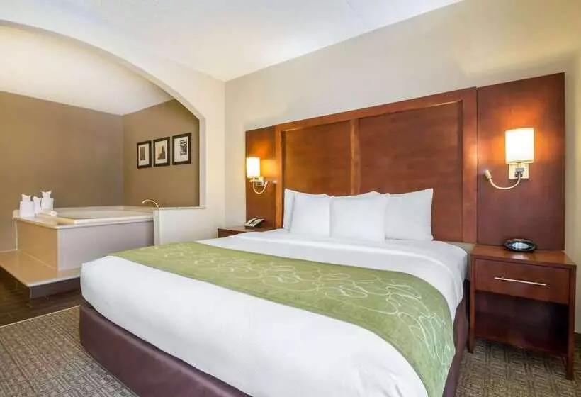 ホテル Comfort Suites At Woodbridge